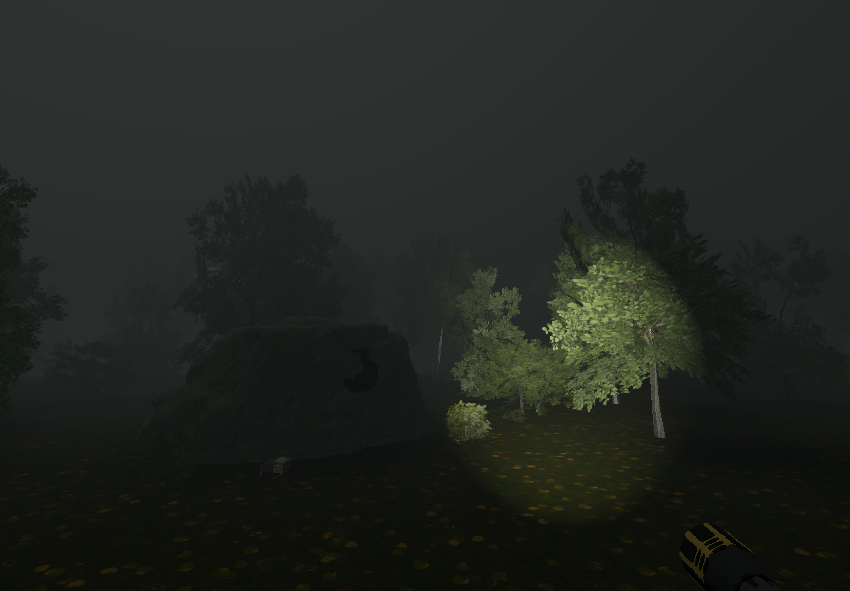 Dark forest trail in Mistborne